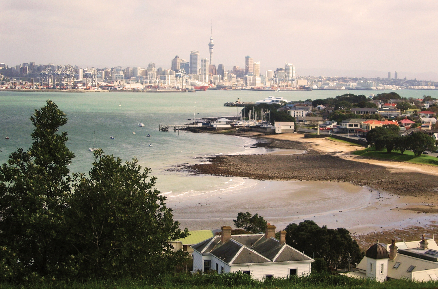 Living in Auckland