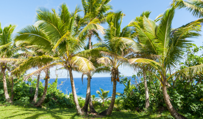 Niue Language Week